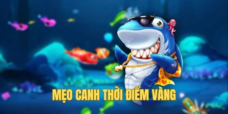 Gia tăng lợi thế với mẹo canh thời điểm vàng